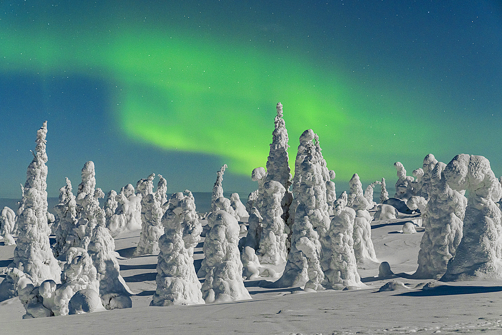 Aurora borealis over ice sculptures in Finnish Lapland, Riisitunturi National Park, Posio, Lapland, Finland, Europe