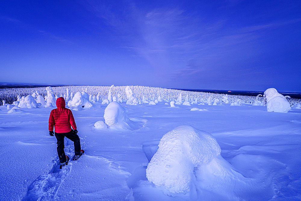 Man with snowshoes admiring the frozen snowy forest under the blue light of dusk, Riisitunturi National Park, Posio, Lapland, Finland, Europe