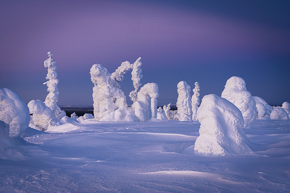 Ice sculptures at dusk, Riisitunturi National Park, Posio, Lapland, Finland, Europe