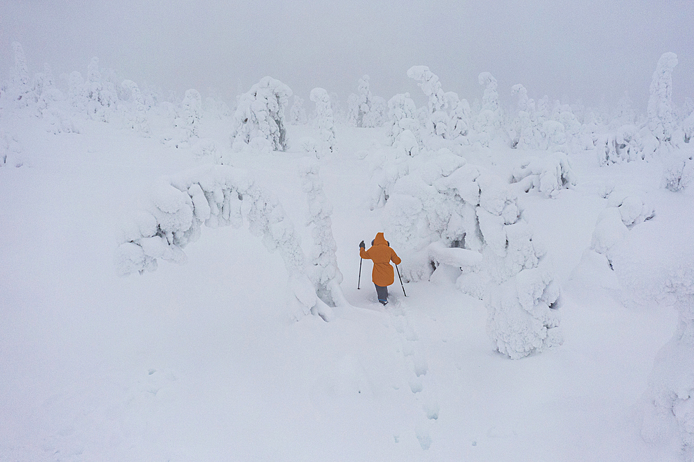 Woman walking in deep snow under the foggy sky in the frozen landscape of Riisitunturi National Park, Posio, Lapland, Finland