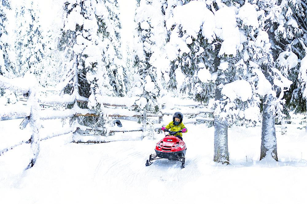 Happy young boy driving a snowmobile in the Arctic forest, Lapland, Finland, Europe