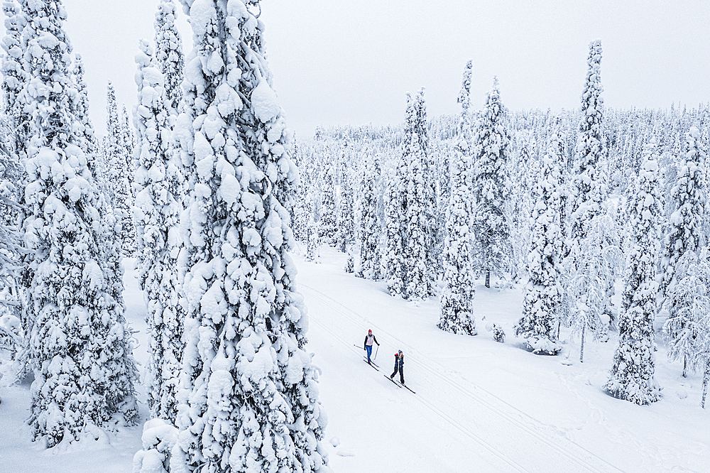 Two people cross country skiing in the snowy forest, aerial view, Lapland, Finland, Europe