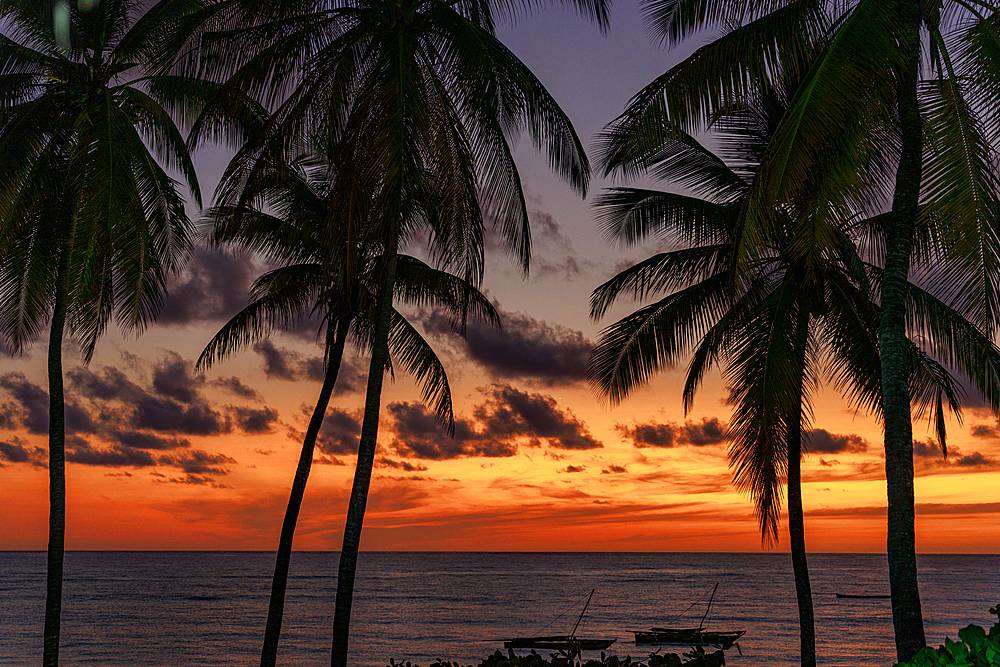 Tropical sunrise sky over silhouettes of palm trees and moored boats, Jambiani, Zanzibar, Tanzania, East Africa, Africa