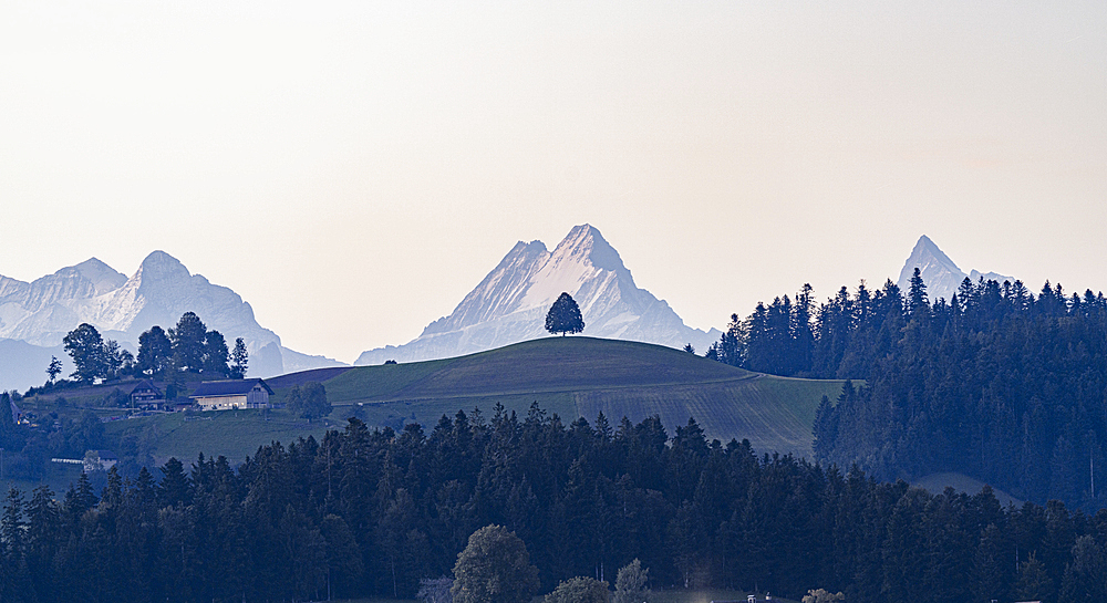 Schreckhorn, Wetterhorn, Finsteraarhorn and Eiger mountains view from green rolling hills, Sumiswald, Emmental, Bern, Switzerland, Europe