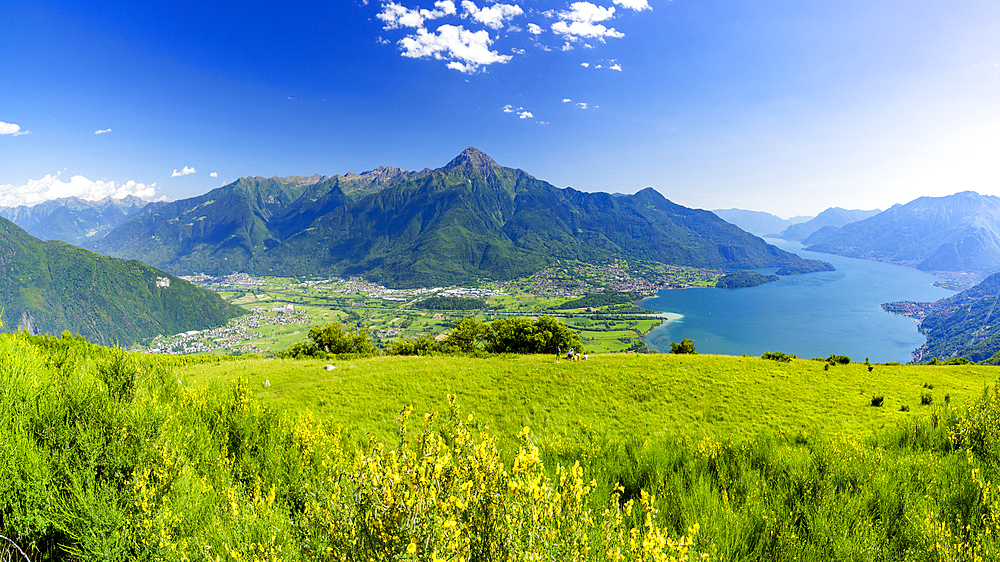 Panoramic of Monte Legnone and Alto Lario from flowering meadows above Lake Como, Bugiallo, Como province, Lombardy, Italian Lakes, Italy, Europe