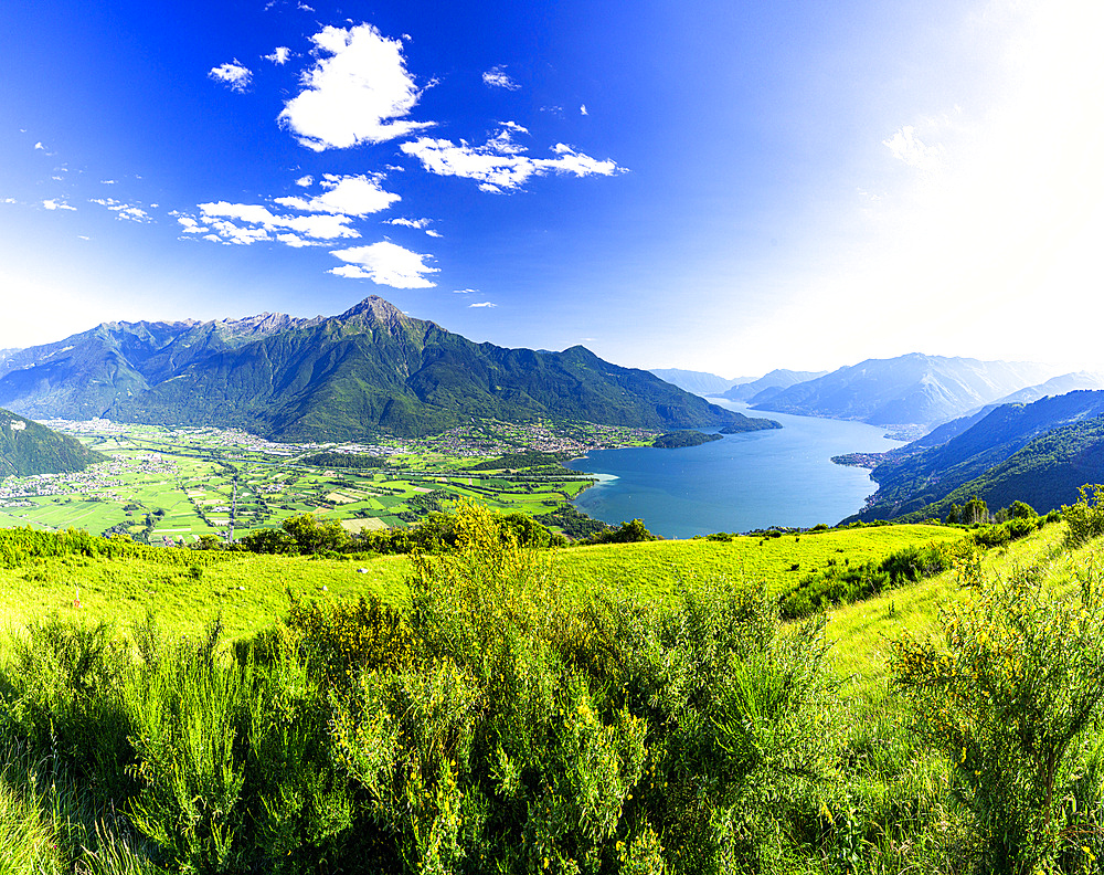 Panoramic of Monte Legnone and Alto Lario from green meadows above Lake Como, Bugiallo, Como province, Lombardy, Italian Lakes, Italy, Europe