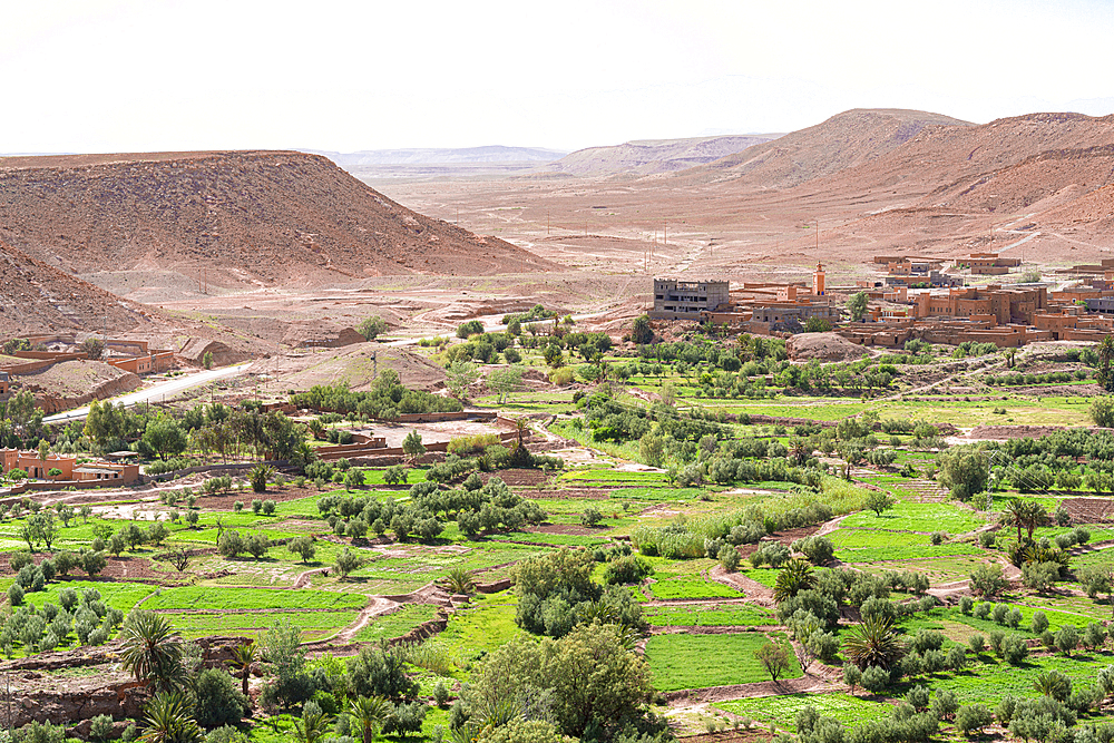 High angle view of Ait Ben Haddou ksar, UNESCO World Heritage Site, surrounded by green fields, Ouarzazate province, Morocco, North Africa, Africa