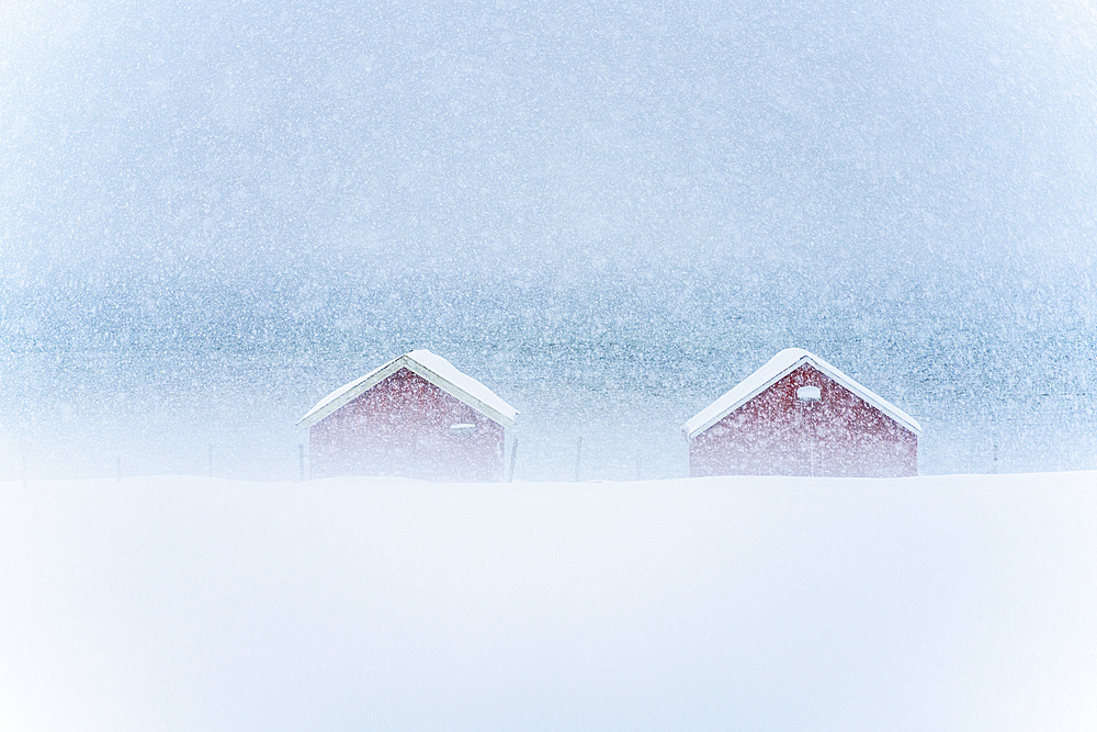 Red cabins in the mist during a heavy snowfall, Troms county, Norway, Scandinavia, Europe