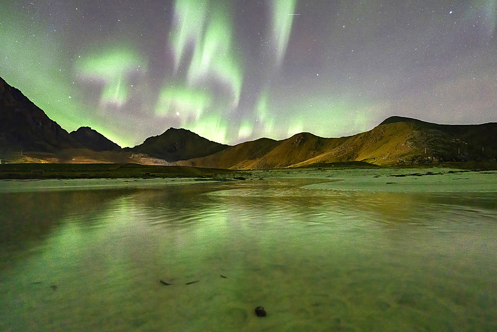 Green lights of Aurora Borealis (Northern Lights) reflected in the frozen sea at Haukland beach, Lofoten Islands, Nordland, Norway, Scandinavia, Europe