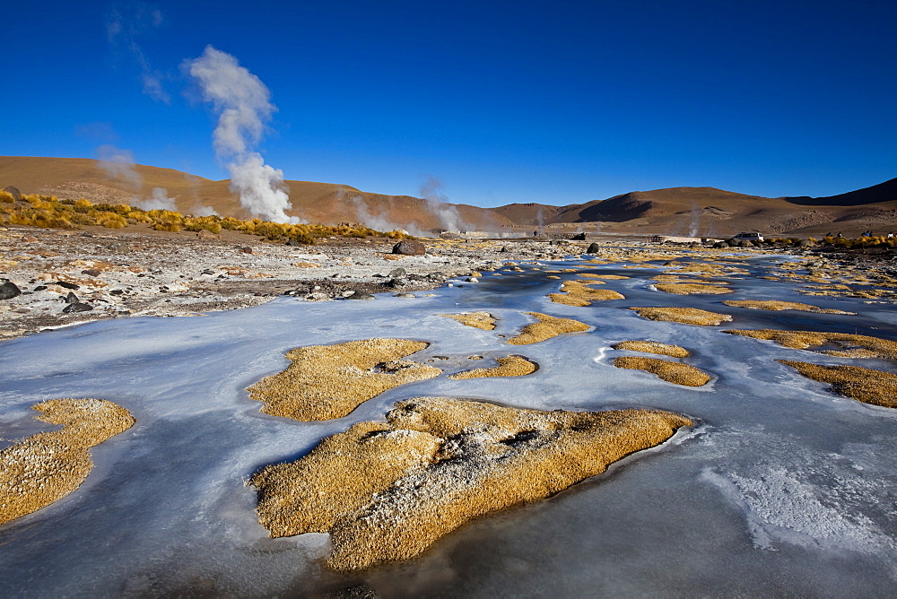 The El Tatio Geothermal Field, located in the Altiplano of northern Chile, South America