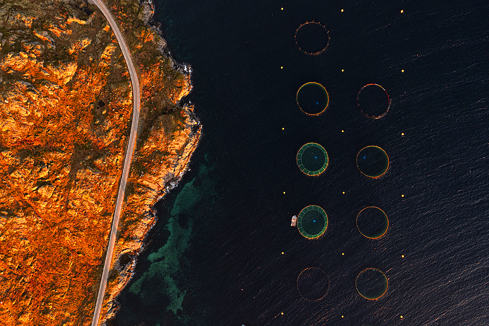 Overhead view of coastal road overlooking the traditional fishing tanks along a fjord, Lofoten Islands, Nordland, Norway, Scandinavia, Europe