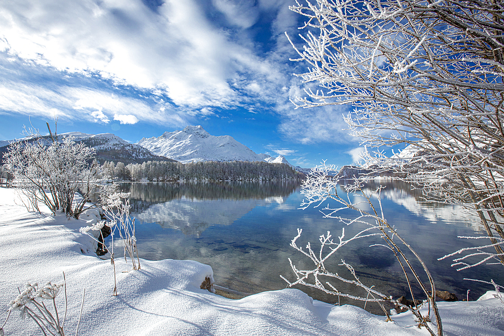 Clouds over snowy woods on shores of frozen Lake Sils in winter, Engadine, Canton of Graubunden, Switzerland, Europe