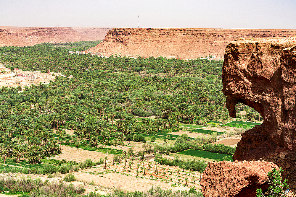 Palm tree groves and ancient village at foot of tall gorges, Ziz Valley, Atlas mountains, Morocco, North Africa, Africa