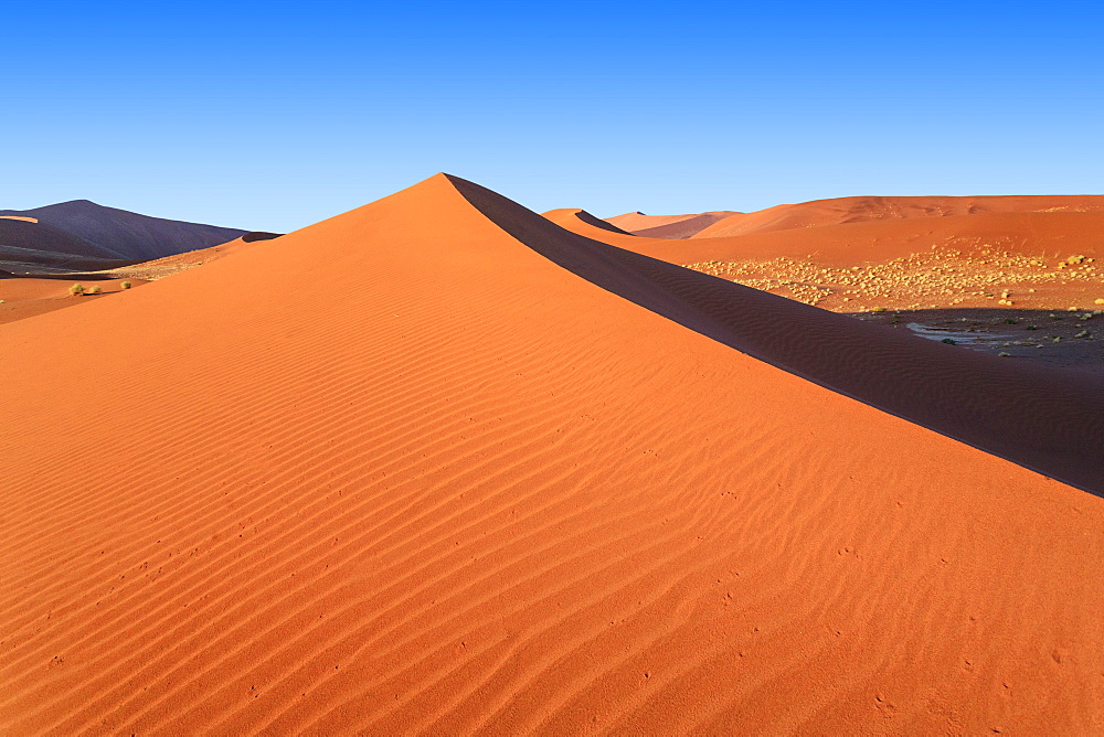 Shadow and light among the sand dunes shaped by wind, Deadvlei, Sossusvlei, Namib Desert, Namib Naukluft National Park, Namibia, Africa