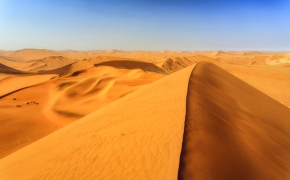 Sand dunes shaped by wind, Deadvlei, Sossusvlei, Namib Desert, Namib Naukluft National Park, Namibia, Africa