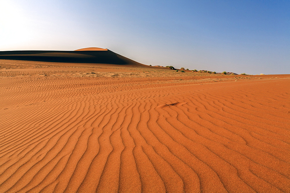 The shapes of sand constantly shaped by the wind, Deadvlei, Sossusvlei, Namib Desert, Namib Naukluft National Park, Namibia, Africa