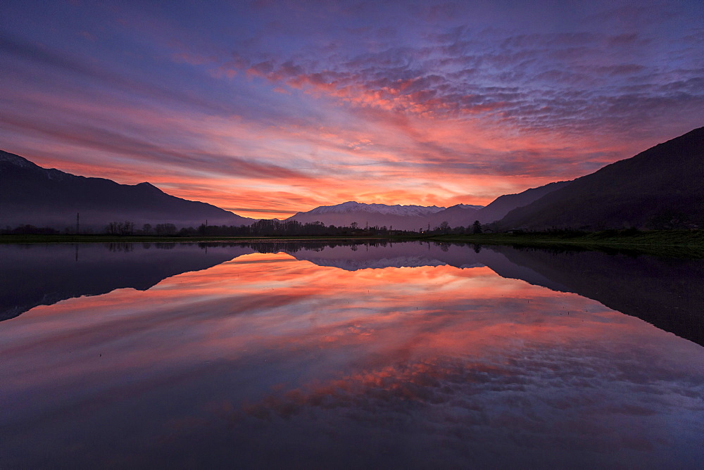 Natural reserve of Pian di Spagna flooded with snowy peaks reflected in the water at sunset, Valtellina, Lombardy, Italy, Europe