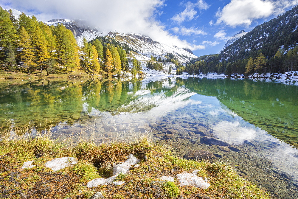 Colorful trees and snowy peaks reflected in Lai da Palpuogna, Albula Pass, Engadine, Canton of Graubunden, Switzerland, Europe