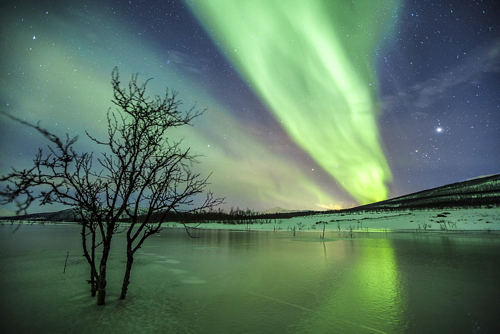 Aurora Borealis on the frozen lagoon of Jaegervatnet, Stortind, Lyngen Alps, Troms, Lapland, Norway, Scandinavia, Europe