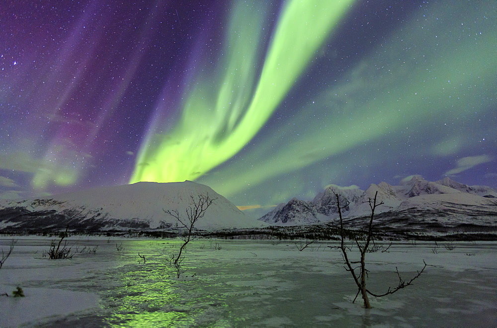 Aurora Borealis on the frozen lagoon of Jaegervatnet, Stortind, Lyngen Alps, Troms, Lapland, Norway, Scandinavia, Europe