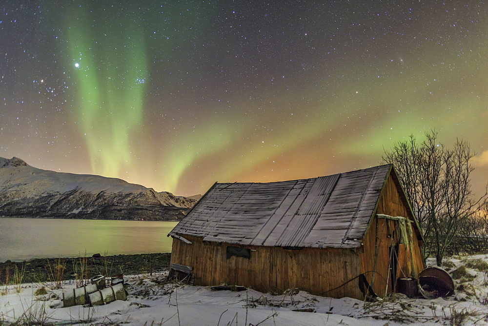 The Northern Lights illuminates the wooden cabin, Svensby, Lyngen Alps, Troms, Lapland, Norway, Scandinavia, Europe