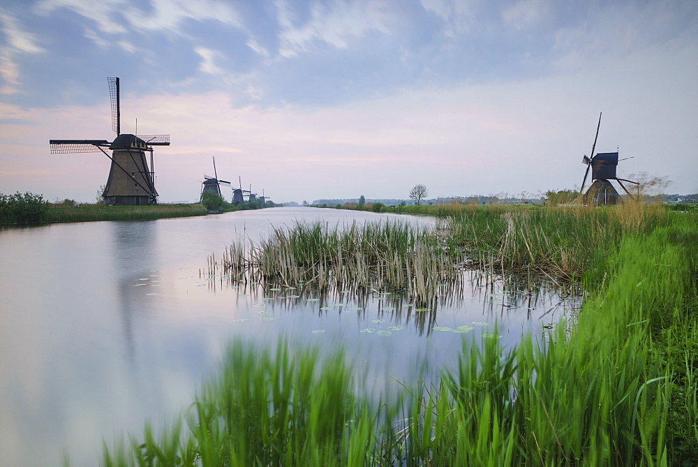 Green grass frames the windmills reflected in the canal at dawn, Kinderdijk, Rotterdam, South Holland, Netherlands, Europe