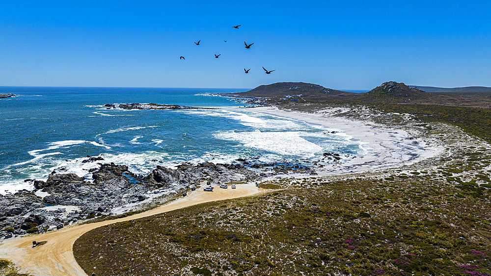 Aerial of a white sandy beach, West Coast National Park, Western Cape Province, South Africa, Africa