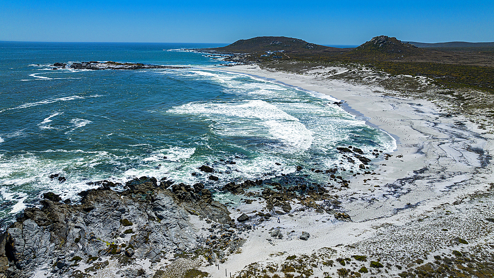 Aerial of a white sandy beach, West Coast National Park, Western Cape Province, South Africa, Africa