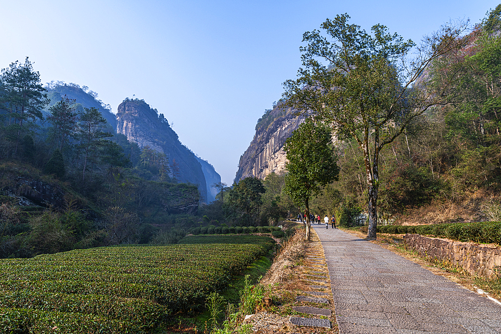 Alley in the Wuyi Mountains, UNESCO World Heritage Site, Fujian, China, Asia