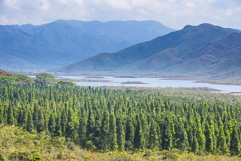 View over the Blue River Provincial Park, Yate, New Caledonia, Pacific