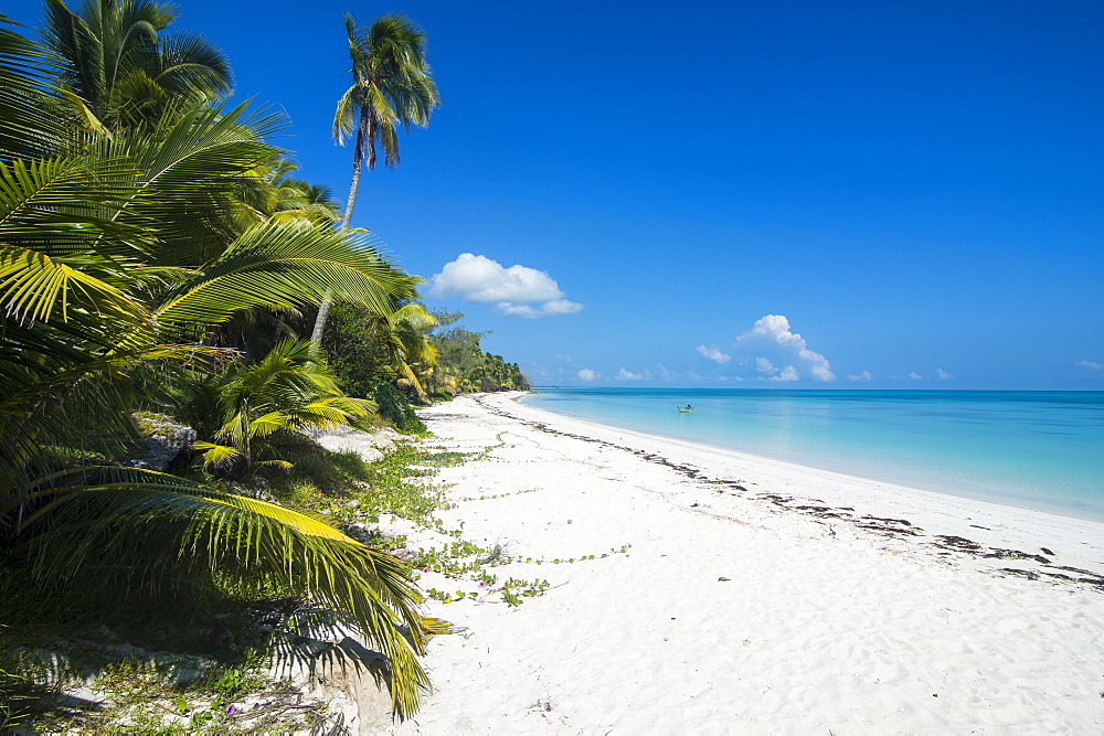 Turquoise waters and white sand beach, Ouvea, Loyalty Islands, New Caledonia, Pacific