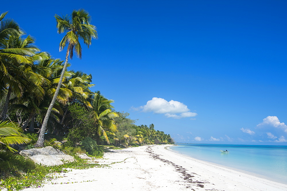 Turquoise waters and white sand beach, Ouvea, Loyalty Islands, New Caledonia, Pacific