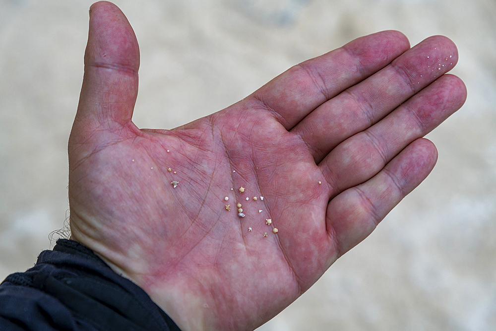 Close-up of Star sand, Taketomi Island National Park, Ishigaki, Yaeyama island group, Japan, Asia