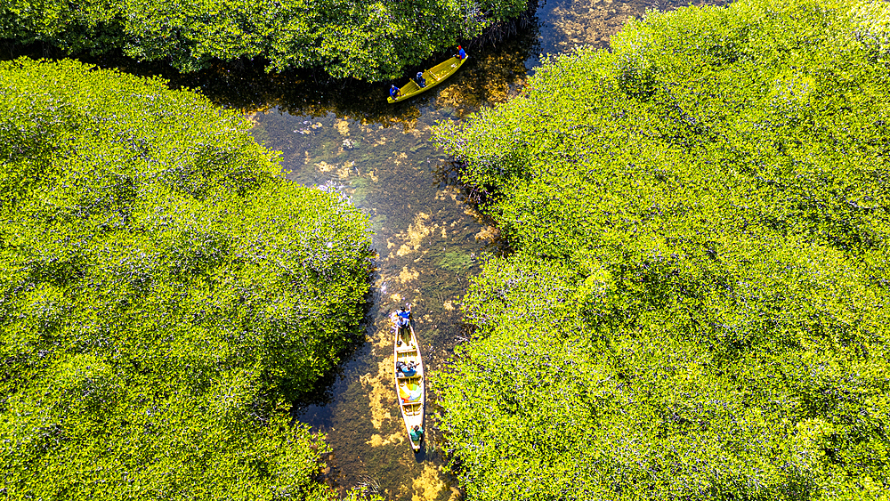 Aerial of little boats in the swamps of Grande Santa Cruz Island, Zamboanga, Mindanao, Philippines, Southeast Asia, Asia