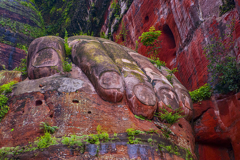 Leshan Giant Buddha, the largest stone Buddha on earth, Mount Emei Scenic Area, UNESCO World Heritage Site, Leshan, Sichuan, China, Asia