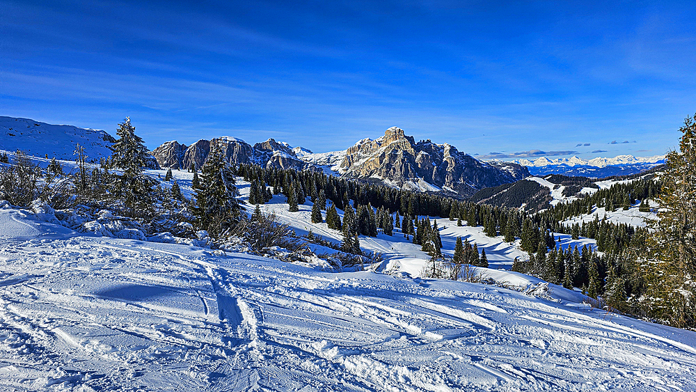 Snowy winter landscape with trees and peaks, Dolomites, Italy, Europe