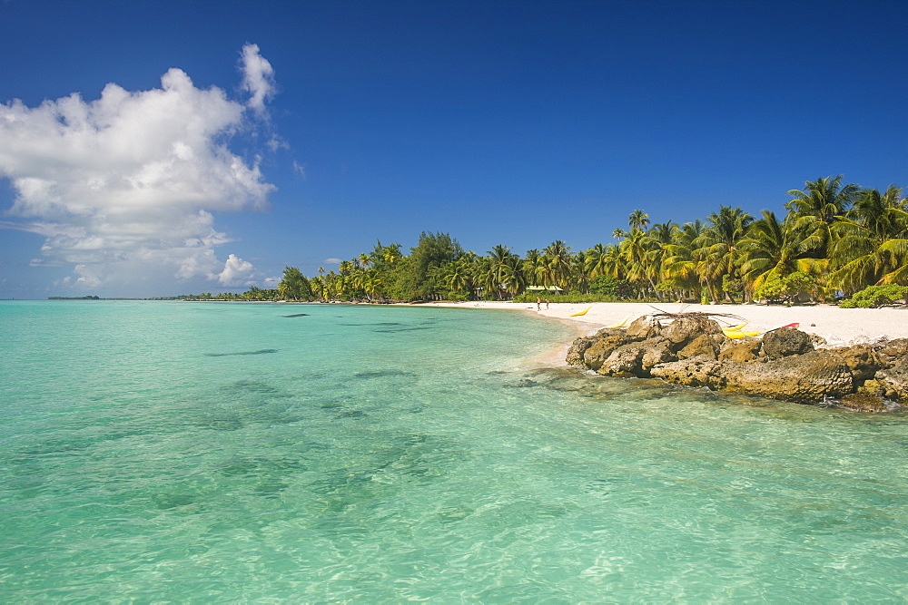 Beautiful palm fringed white sand beach in the turquoise waters of Tikehau, Tuamotus, French Polynesia, Pacific