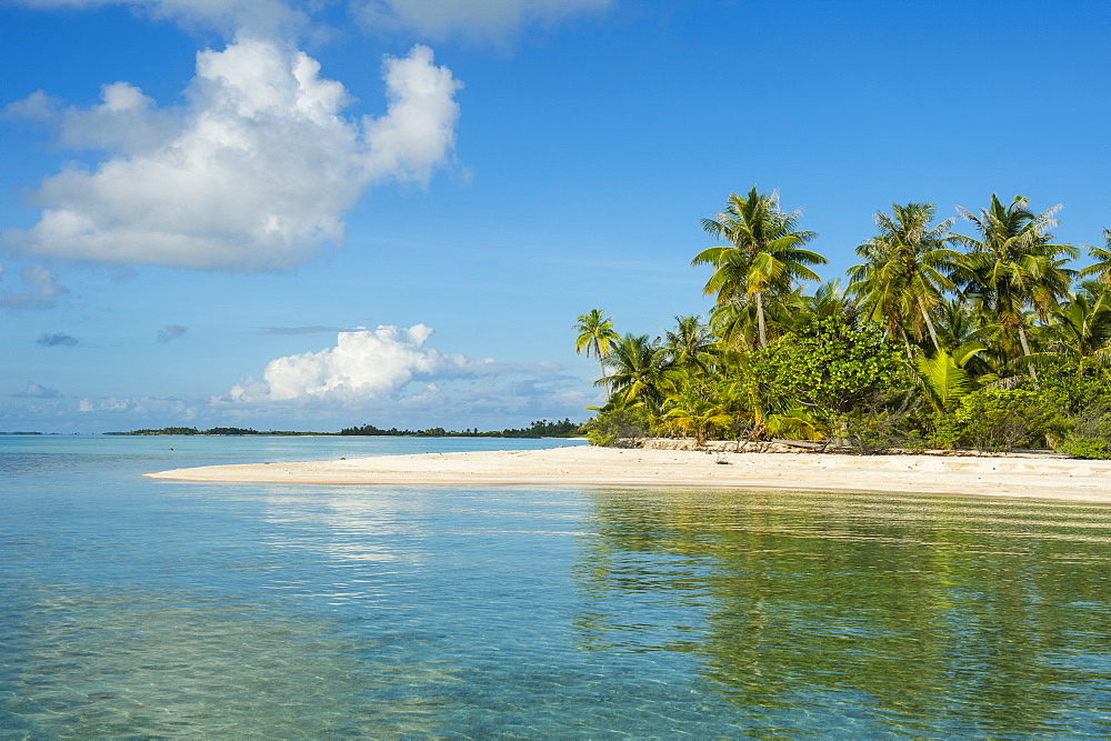 Beautiful palm fringed white sand beach in the turquoise waters of Tikehau, Tuamotus, French Polynesia, Pacific