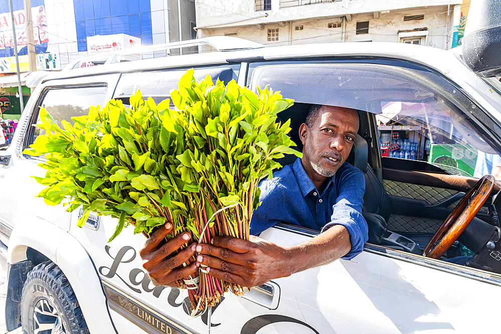 Man selling Khat (Qat), a local drug, Hargeisa, Somaliland, Somalia, Africa