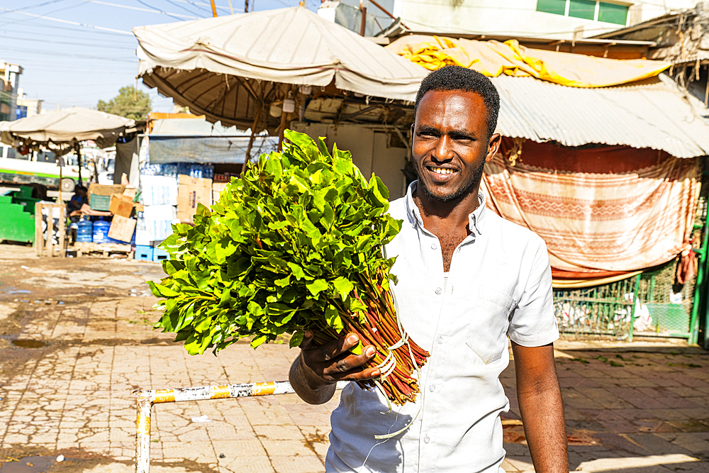 Man selling Khat (Qat), a local drug, Hargeisa, Somaliland, Somalia, Africa