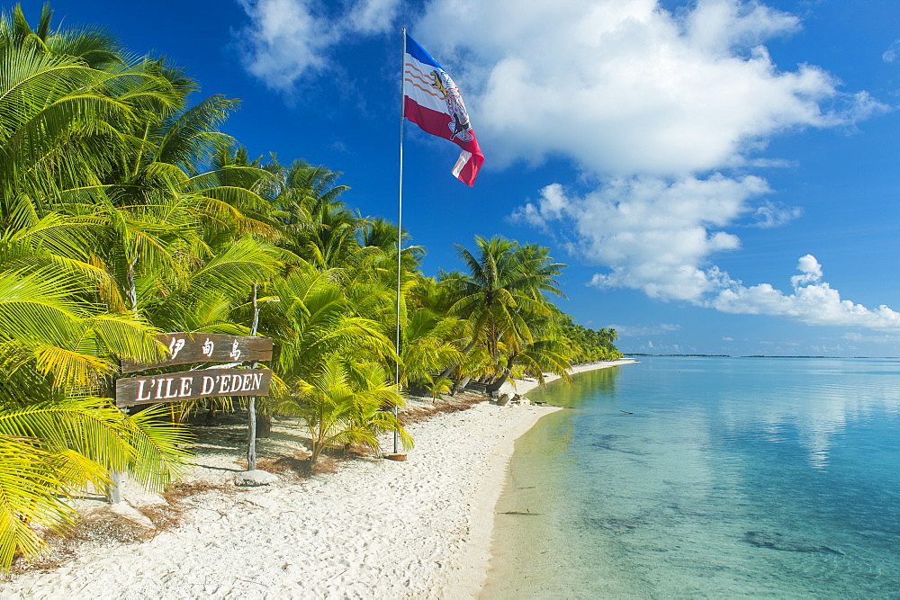 Beautiful palm fringed white sand beach in the turquoise waters of Tikehau, Tuamotus, French Polynesia, Pacific