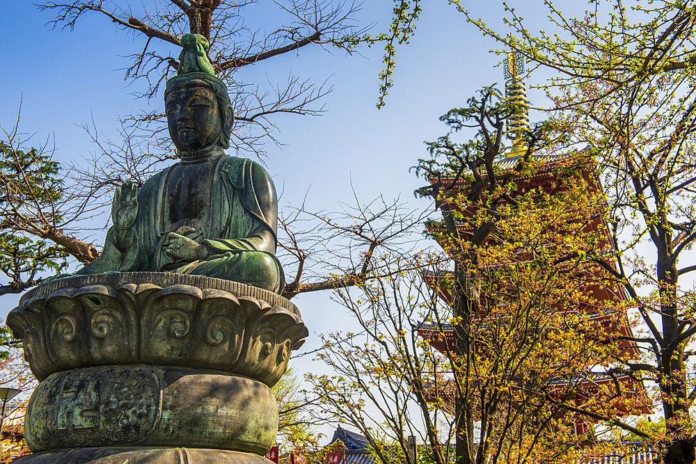 Buddha statue in the Senso-ji temple, Asakusa, Tokyo, Honshu, Japan, Asia