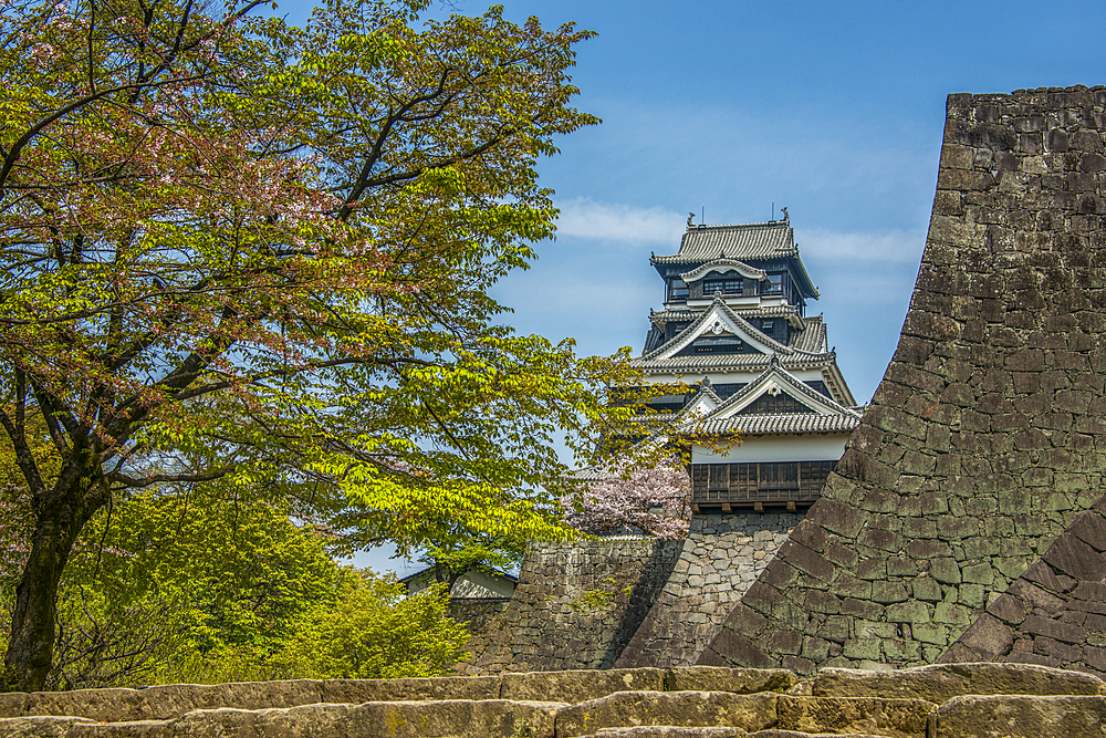 Kumamoto Japanese Castle, Kumamoto, Kyushu, Japan, Asia