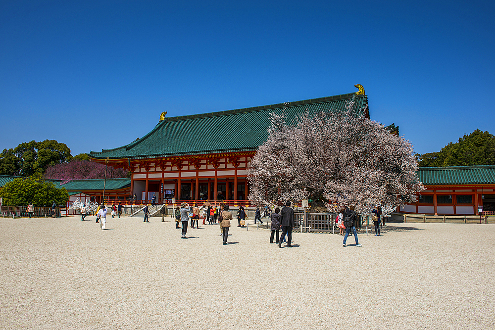 Park in the Heian Jingu Shrine, Kyoto, Honshu, Japan, Asia