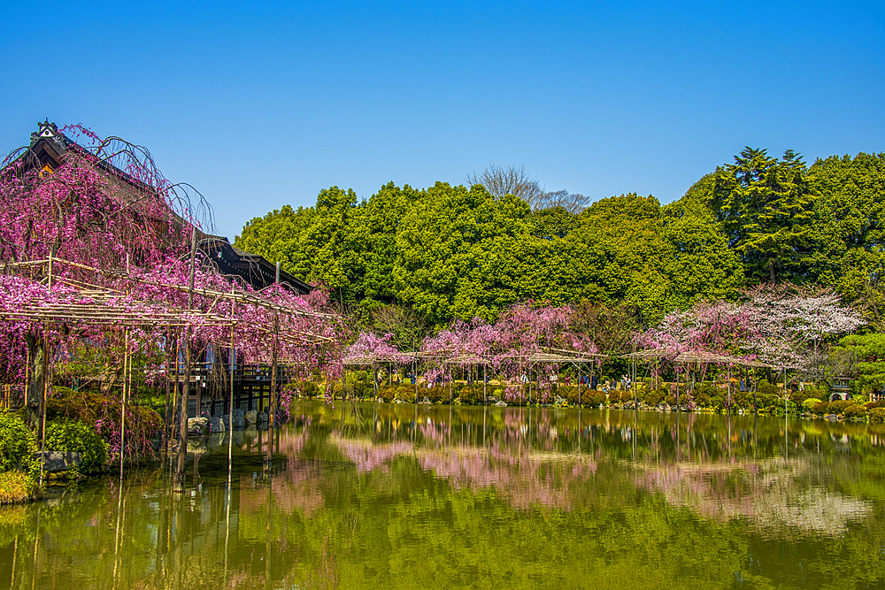 Okazaki Park in the Heian Jingu Shrine, Kyoto, Honshu, Japan, Asia