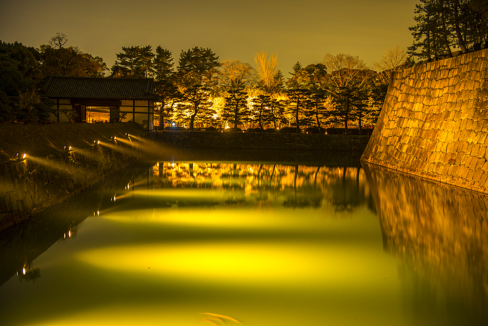 Nightly illuminated Kyoto Imperial Palace during cherry blossom, Kyoto,Honshu, Japan, Asia