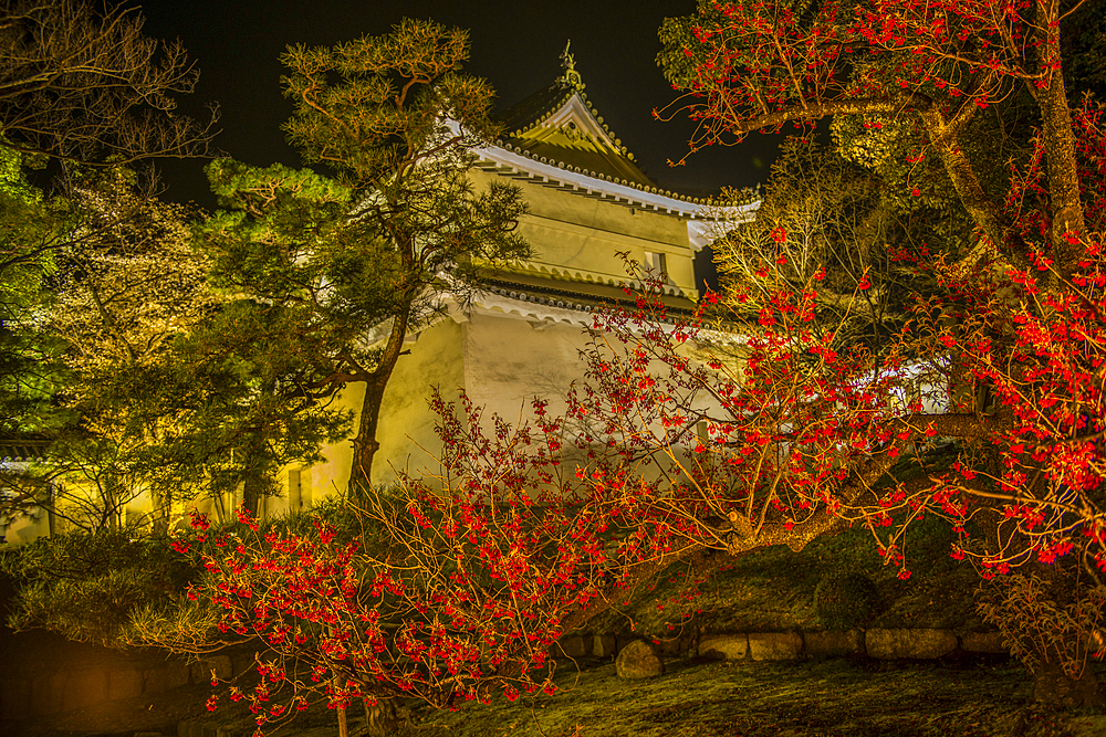 Nightly illuminated Kyoto Imperial Palace during cherry blossom, Kyoto, Honshu, Japan, Asia