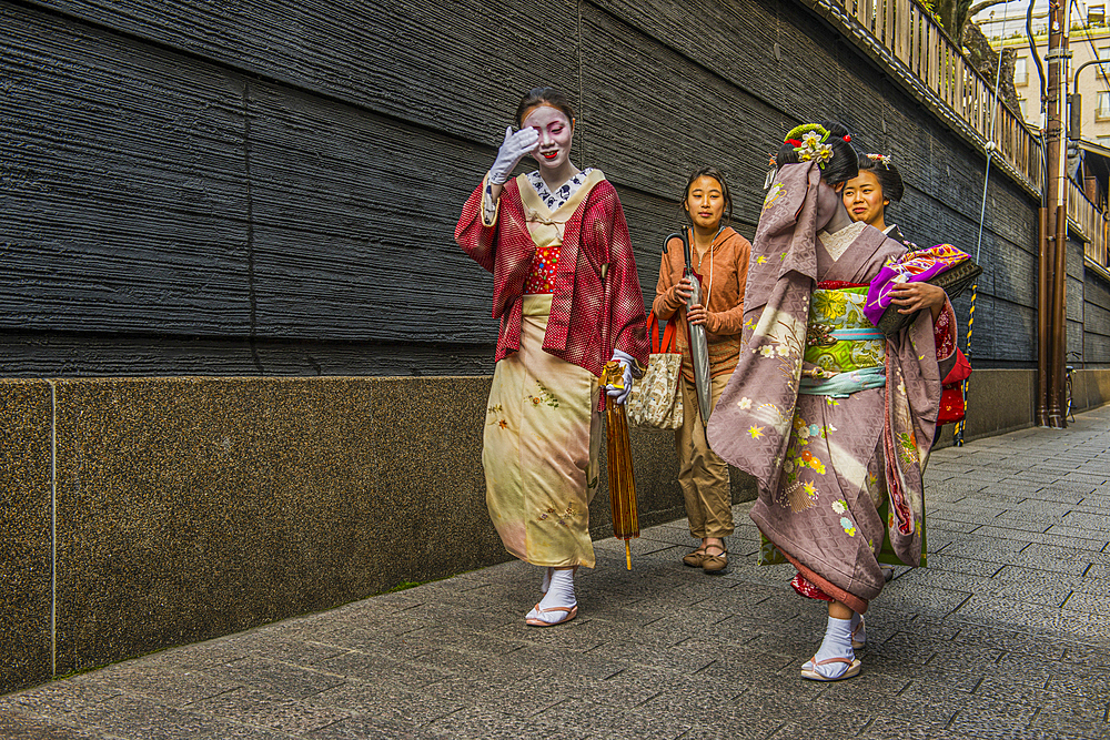 Geishas walking around the Geisha quarter Gion, Kyoto, Honshu, Japan, Asia