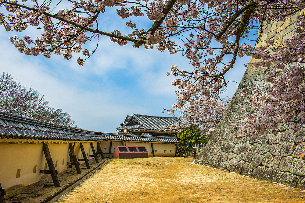 Matsuyama Castle, Shikoku, Japan, Asia