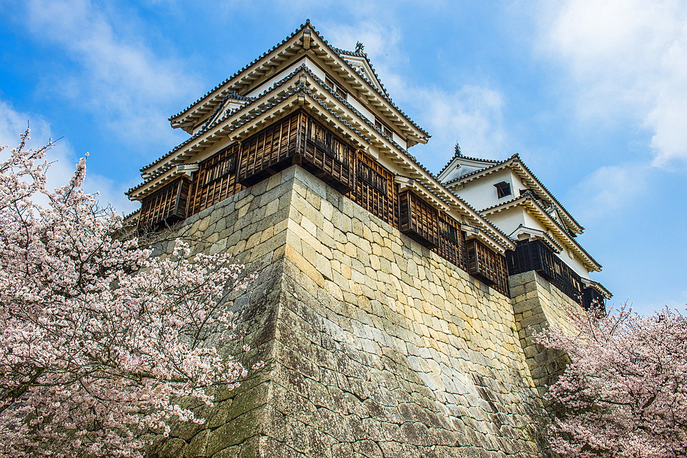 Matsuyama Castle, Shikoku, Japan, Asia